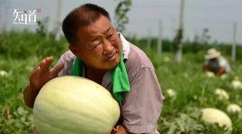 最新吃瓜爆料河北新闻,揭秘幕后真相,带你走进事件核心 第3张 最新吃瓜爆料河北新闻,揭秘幕后真相,带你走进事件核心 第3张