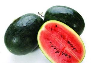 康县网红怎么吃瓜,康县网红教你如何品尝地道瓜果美味