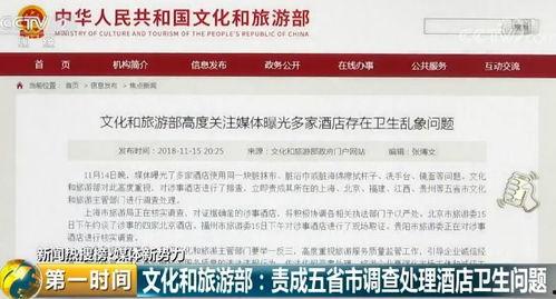 酒店新闻爆料卫生怎么写,揭秘卫生隐患背后的真相  第2张